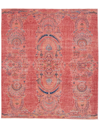 Tappeto Shahi Fine Pakistan 251x288 Corallo Blu